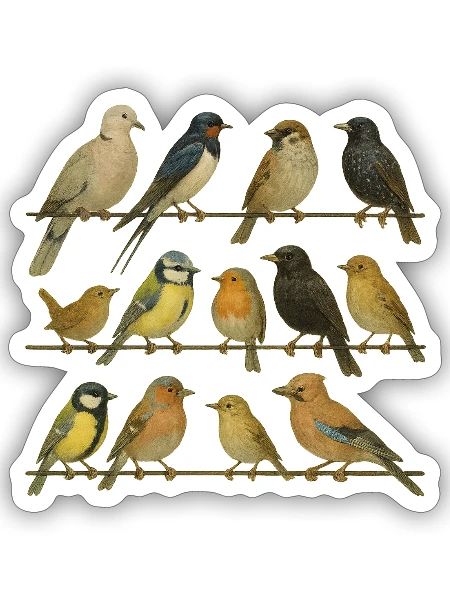 Vogelbeobachter Vogelliebhaber - Sticker Größe S (10 x 10 cm) - Mattweiß - Vorne