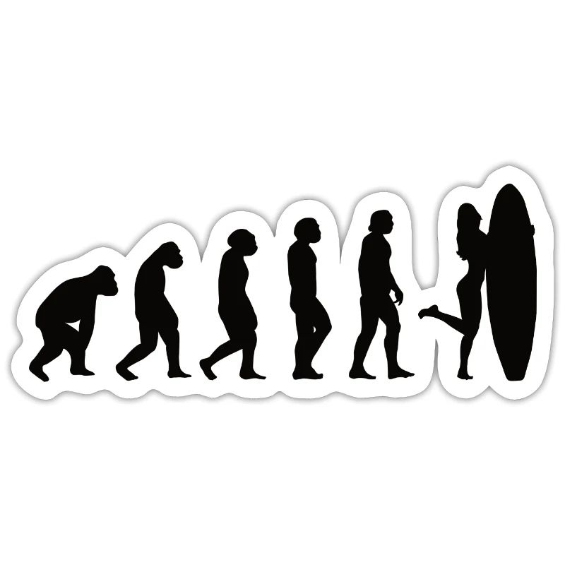 Surfer Surfboard Surfing Evolution Surfing