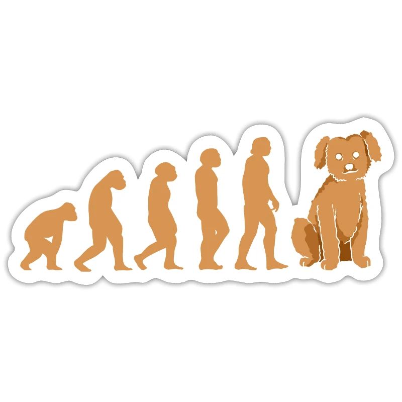 Caniche Evolution