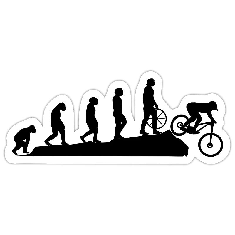 Bicycle Evolution Black