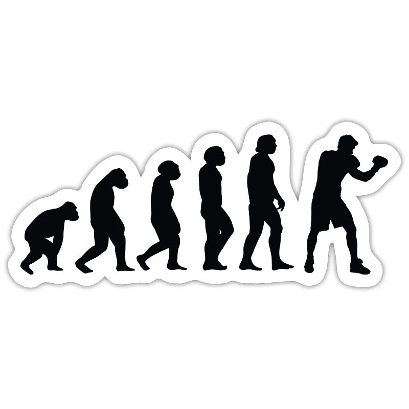 Evolution Boxe - Bo