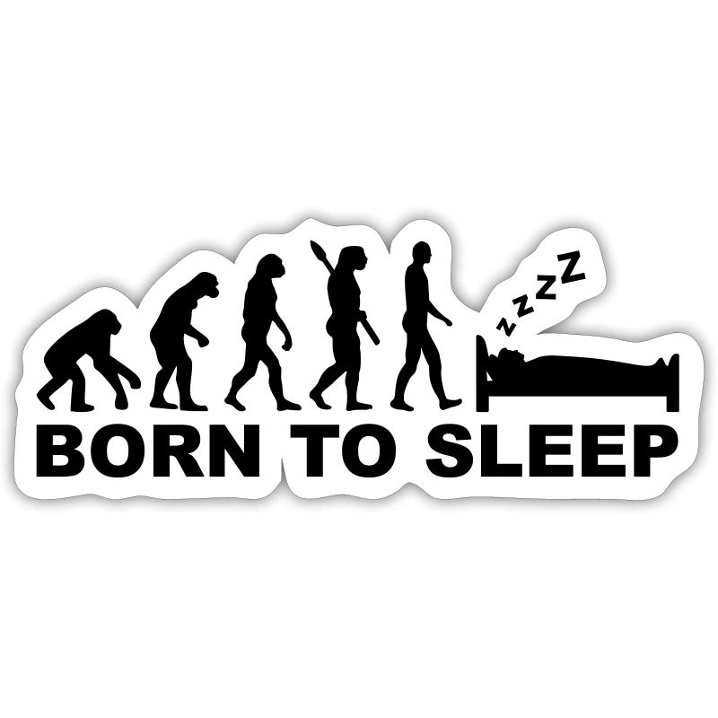 Evolution Sleep