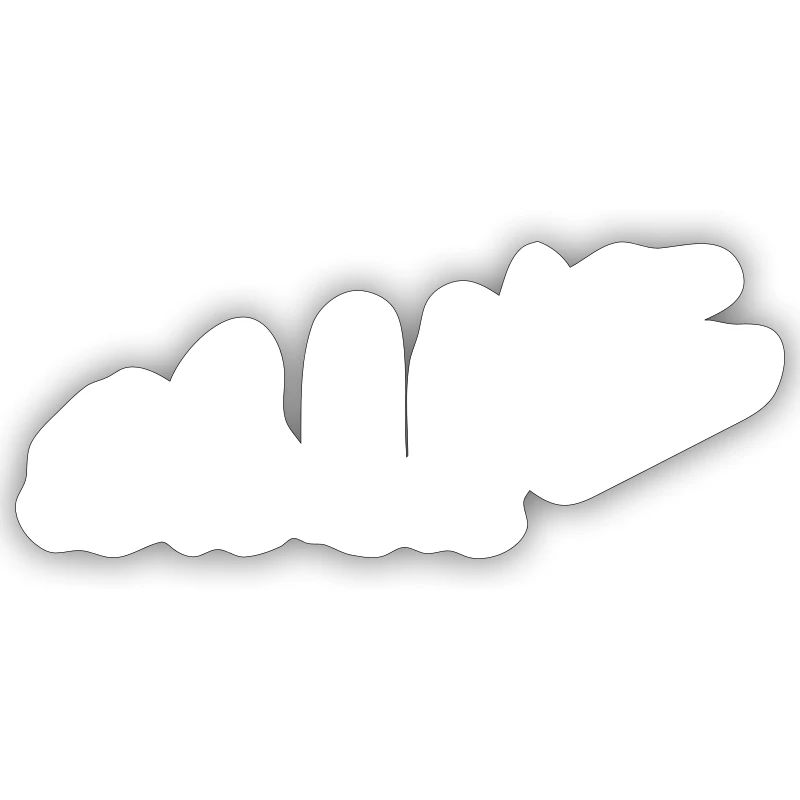 Évolution du snowboarder