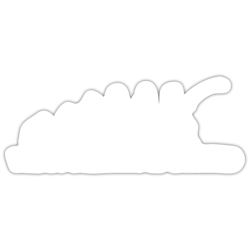 L’évolution de la pêche