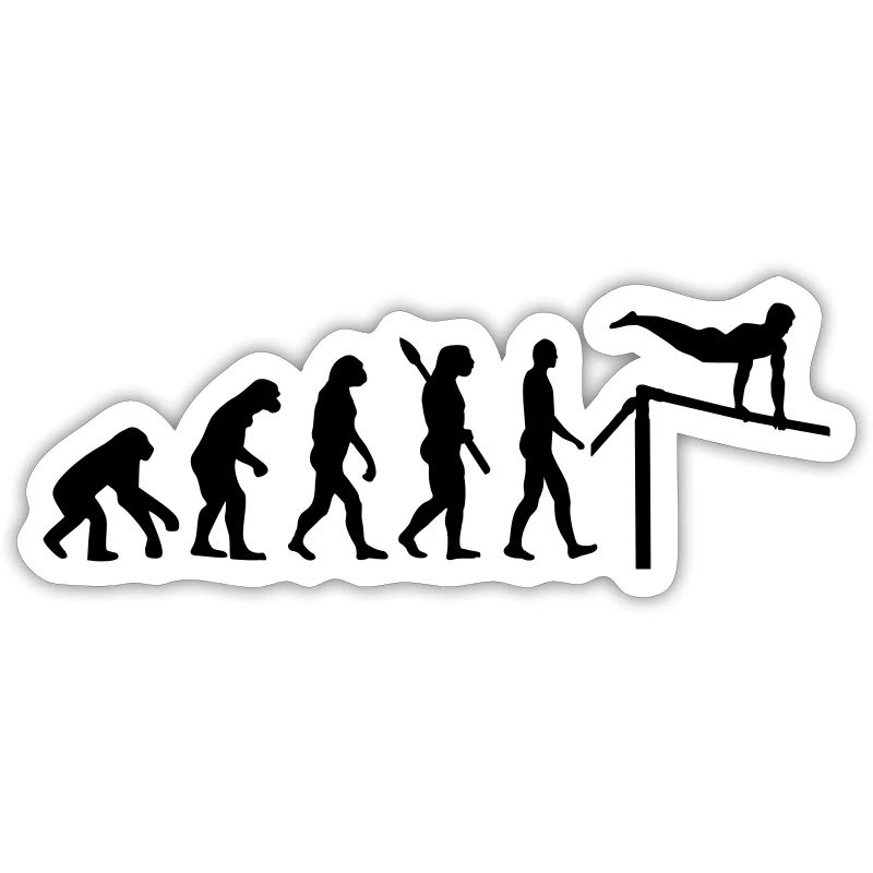 Évolution Gymnastique