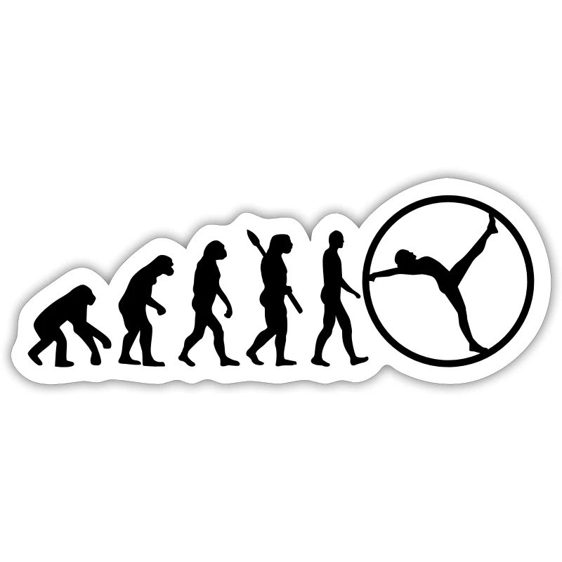 Evolution gymwheel