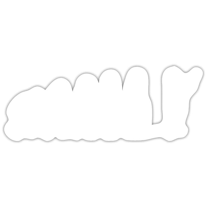 Dirigenten Musiker Band Evolution Dirigent Musik