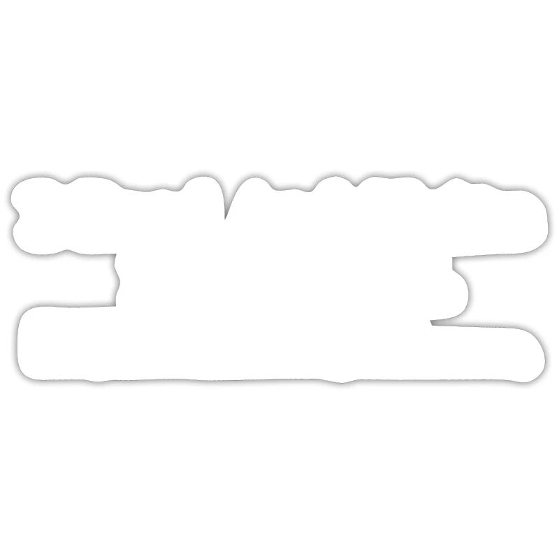 Programmeur Coder Développeur de logiciels