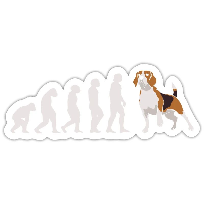 Evolution Beagle