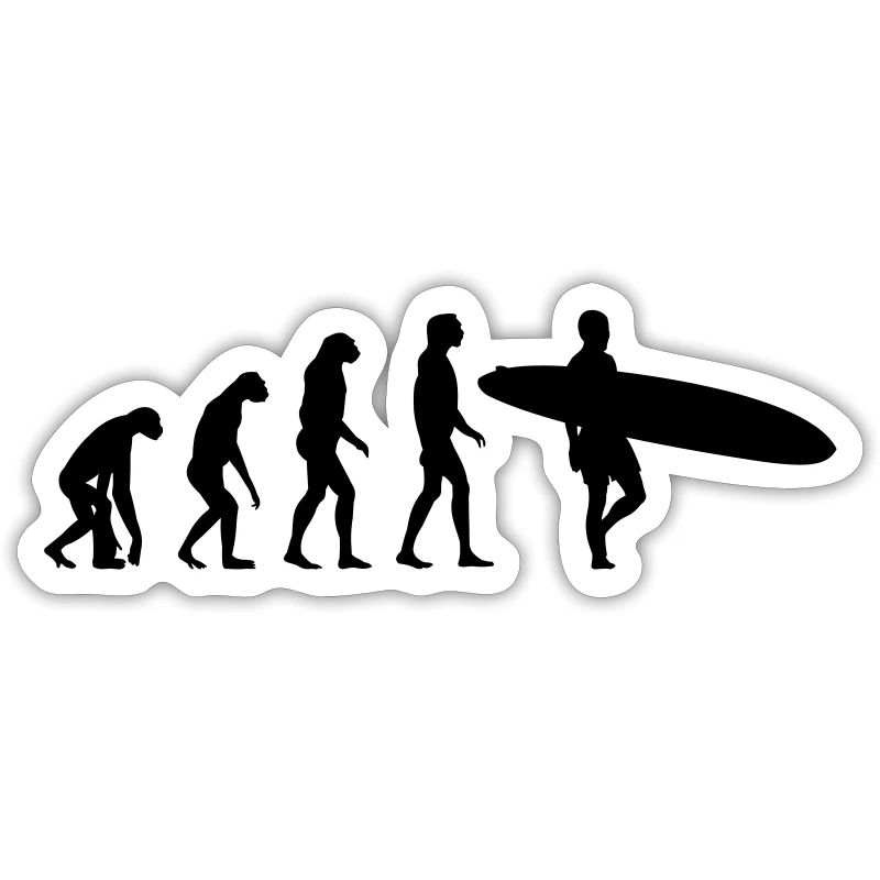 surfer evolution