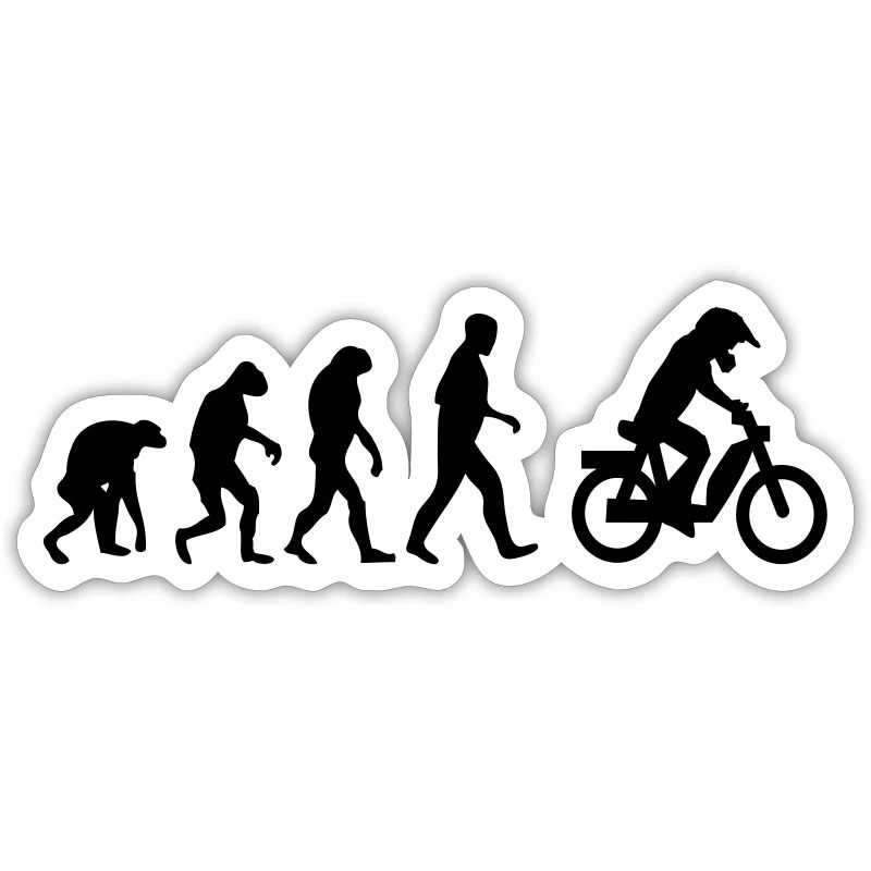 mofa evolution 15. Geburtstag