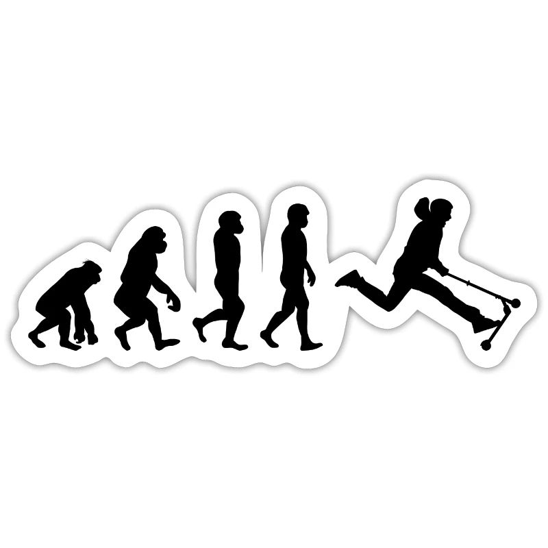 Stunt Scooter Freestyle Scootering Evolution