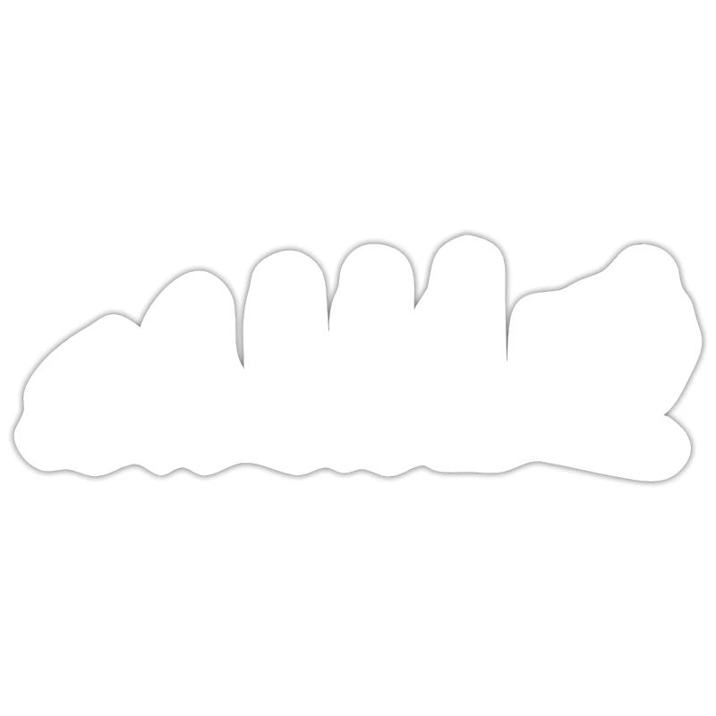 Evolution snowboarder