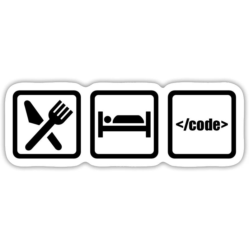 Programmer
