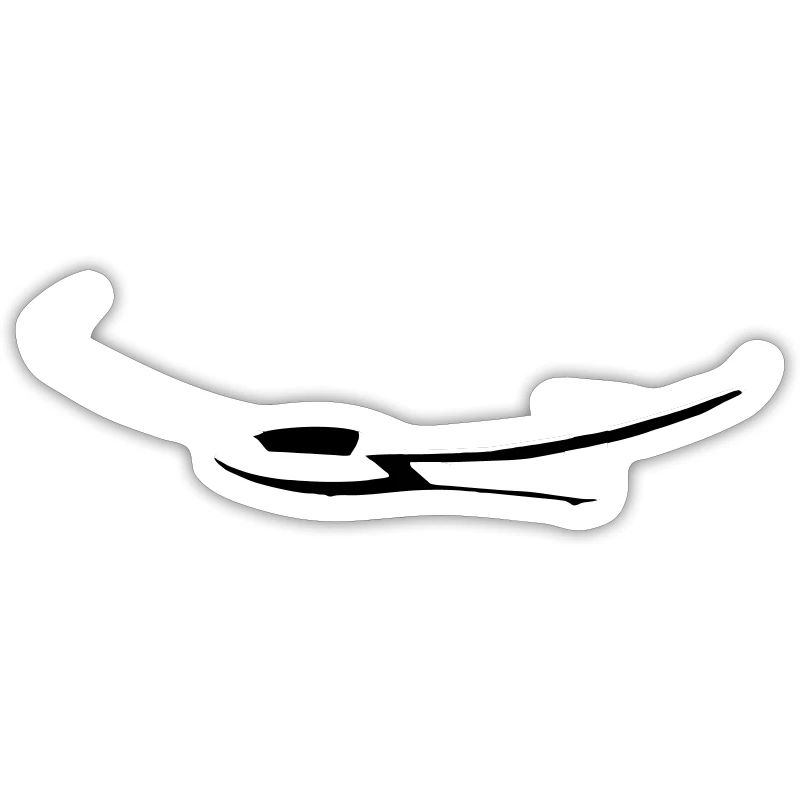 Glider Glider Glider Pilot Pilot