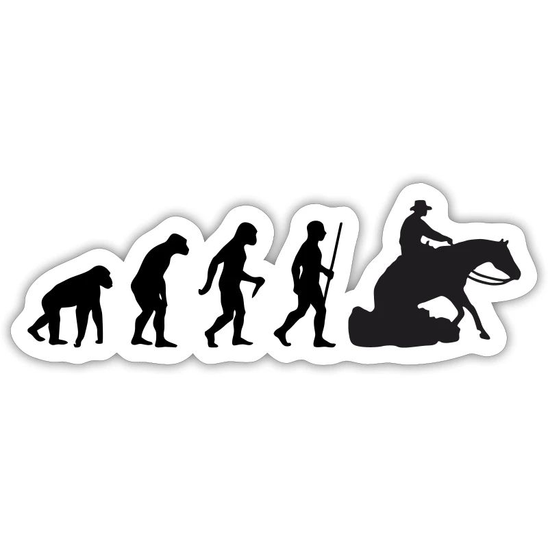 Evolution Sliding Stop Reining