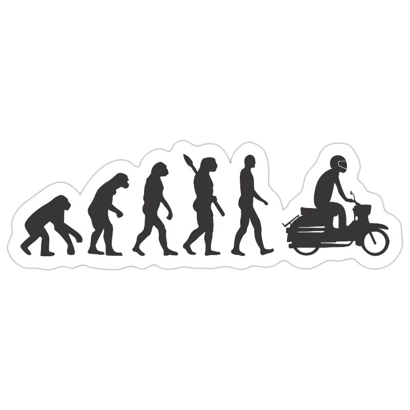 Simson Schwalbe Evolution schwarz