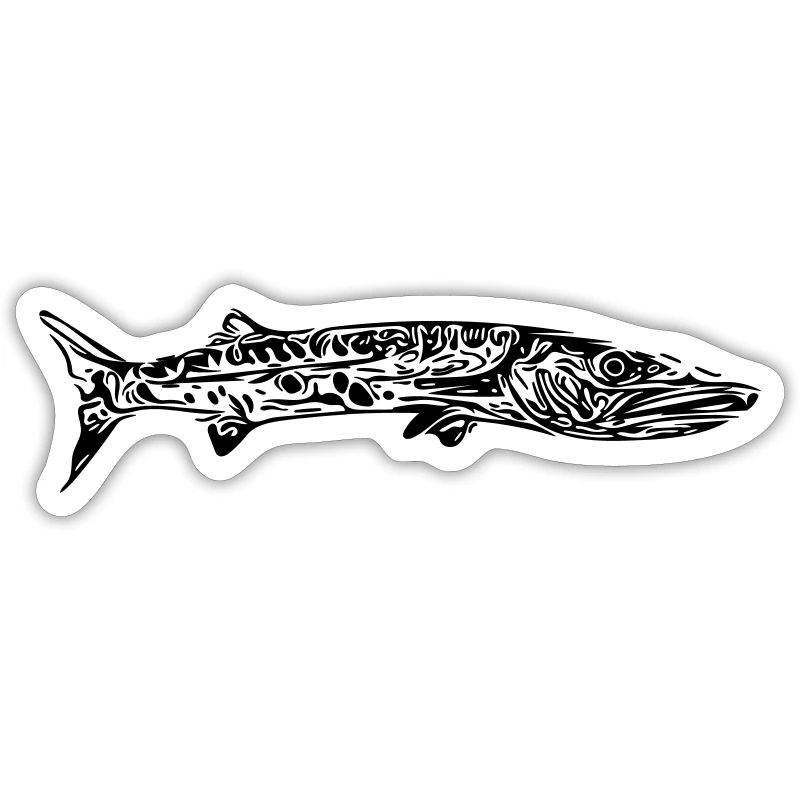 barracuda