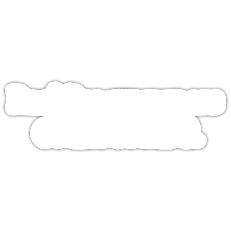 Programmeur Coder Développeur de logiciels