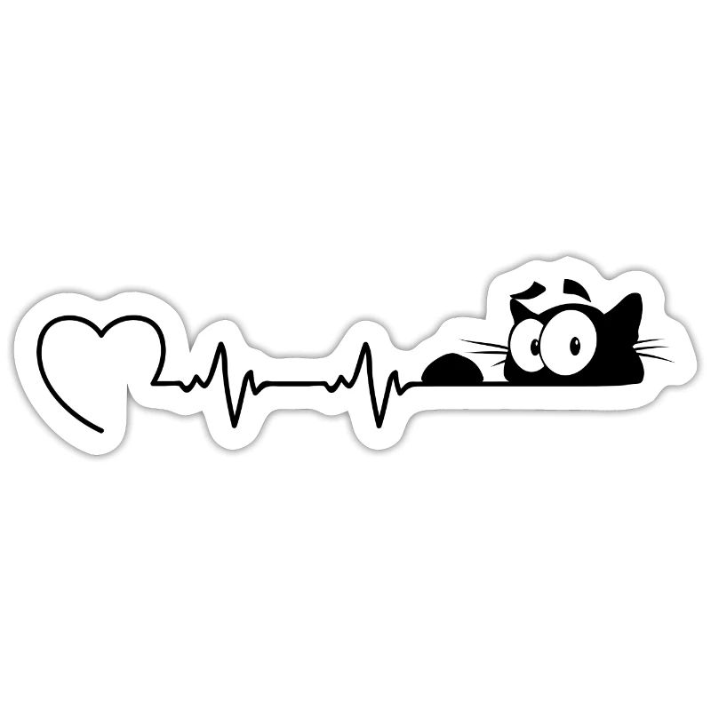 Chat chat ECG Maïou chat chat chat