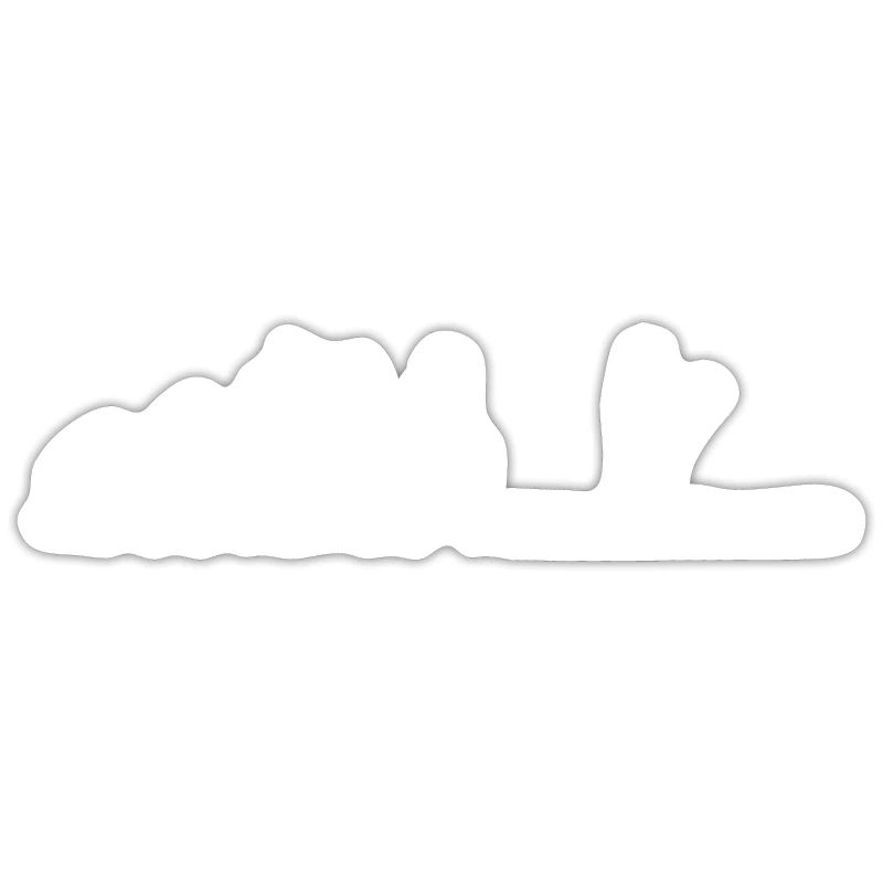 Evolution - SUP - Stand up paddle