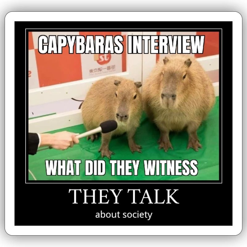 Capybara Interview meme