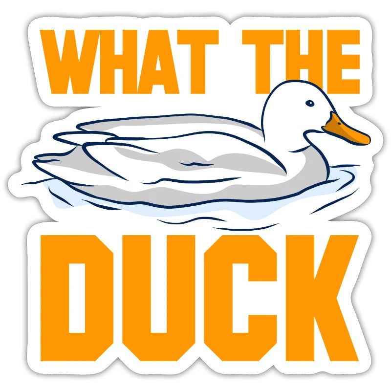 Qu’est-ce que le canard