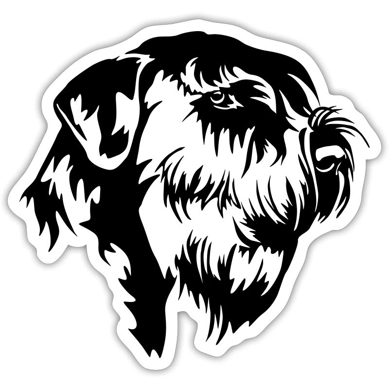 Riesenschnauzer Kopf