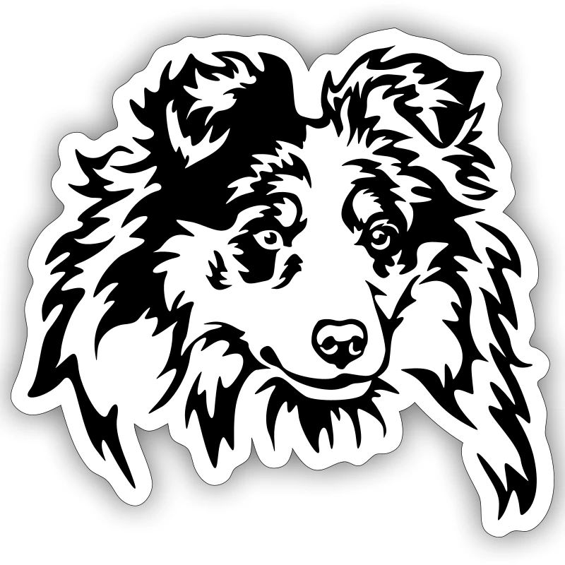 Sheltie Head