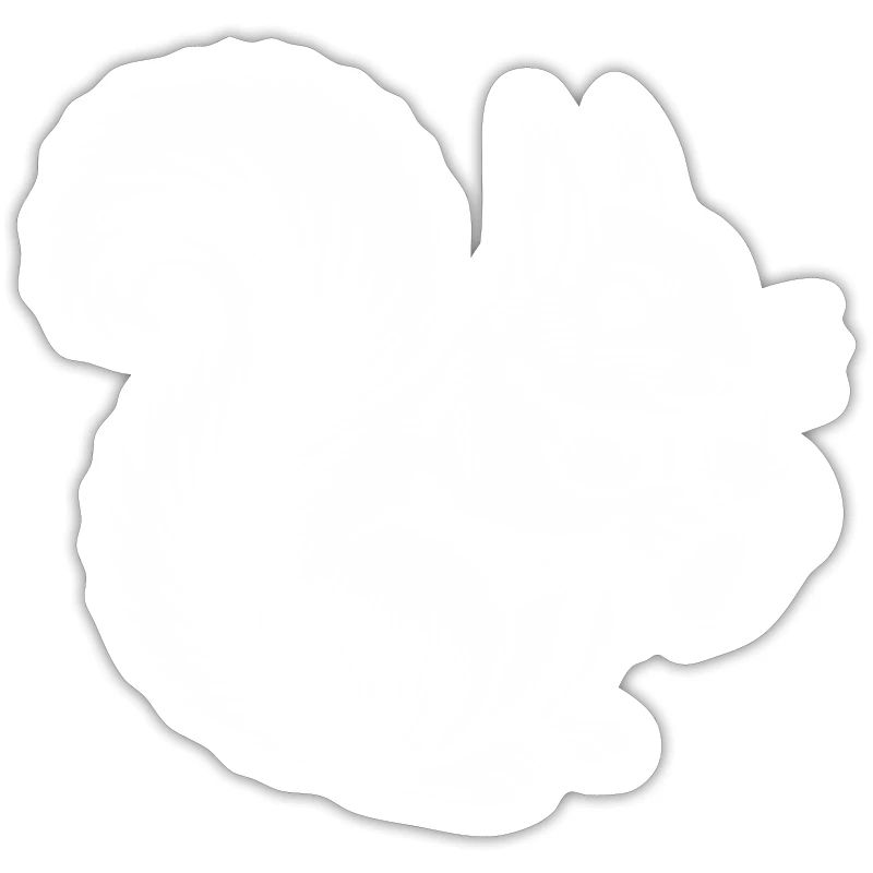 Eichhörnchen & Eichel: Waldbewohner