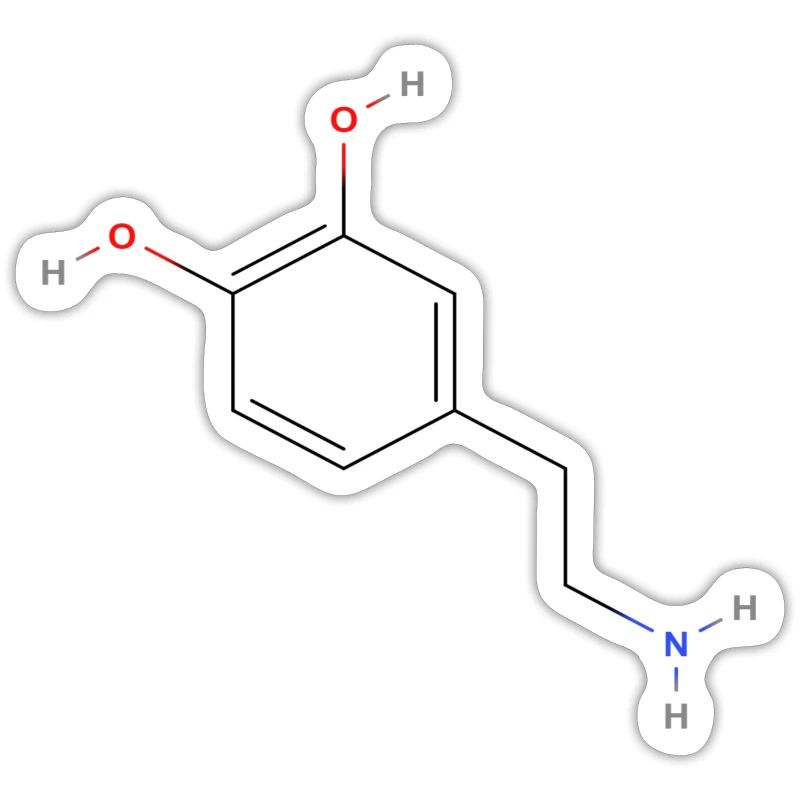 Dopamine Molecule - Colored Structural Formula
