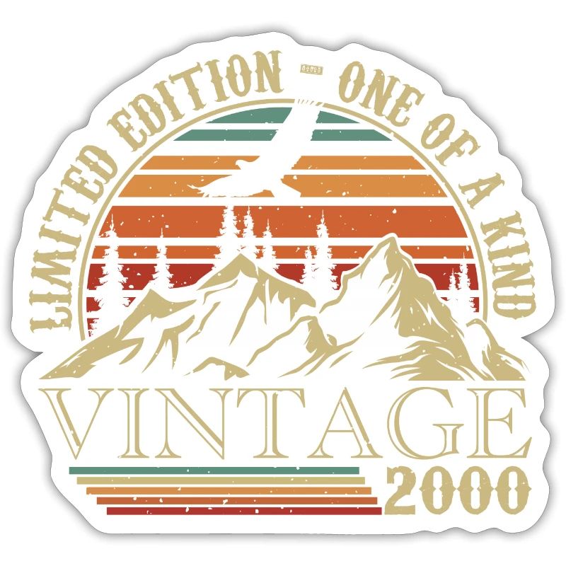 2000 Vintage 2000 Retro 2000 Anniversary Gift
