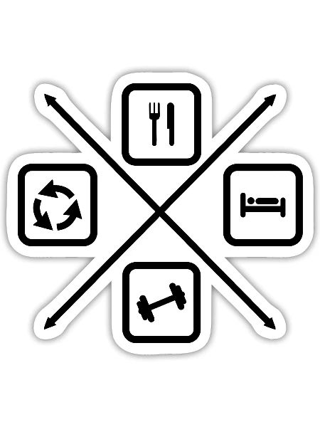The Life Cycle of a Bodybuilder, Bodybuilding - Sticker size S (10 x 10 cm) - white matte - Front
