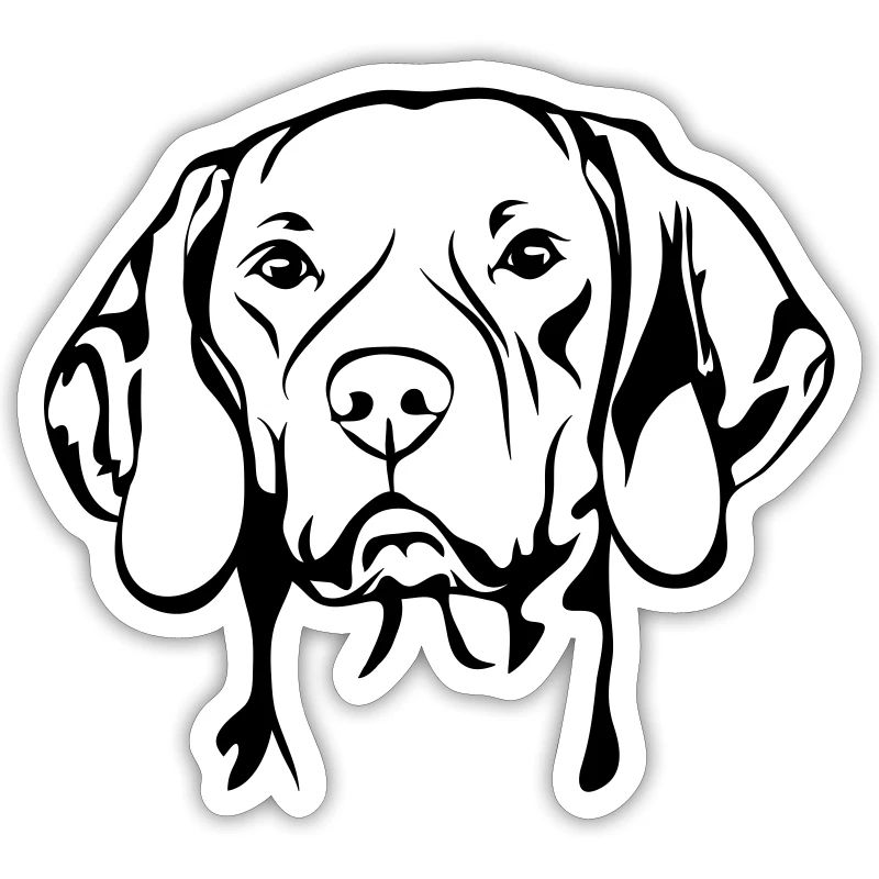 MAGYAR VIZSLA Jagdhund Jagdhunde Wilsigns Hunde