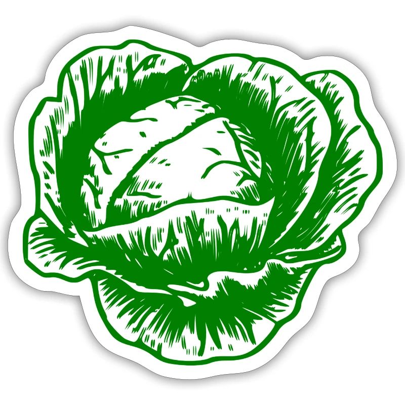 cabbage red cabbage white cabbage cabbage kale veggie gemuese