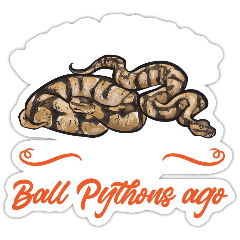 Ball Python Schlange Königspython