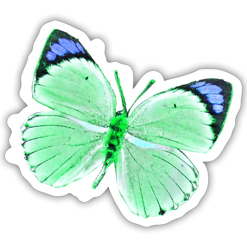 Papillon - nuances de vert vert bleu uni