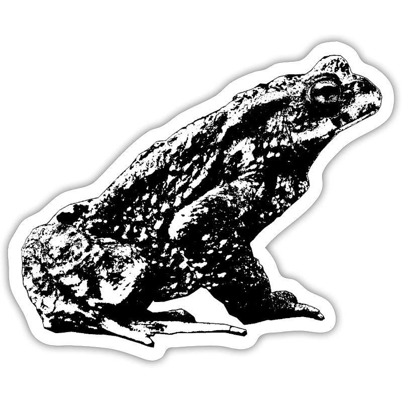 Toad / Bufo Bufo / Graphic