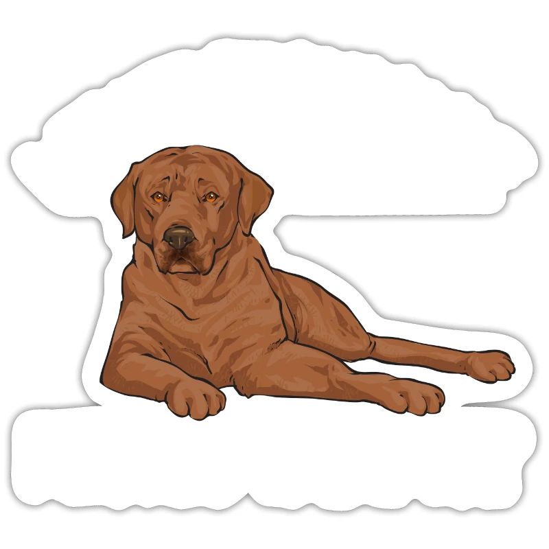 Foxred Labrador Fox Red Labrador Retriever