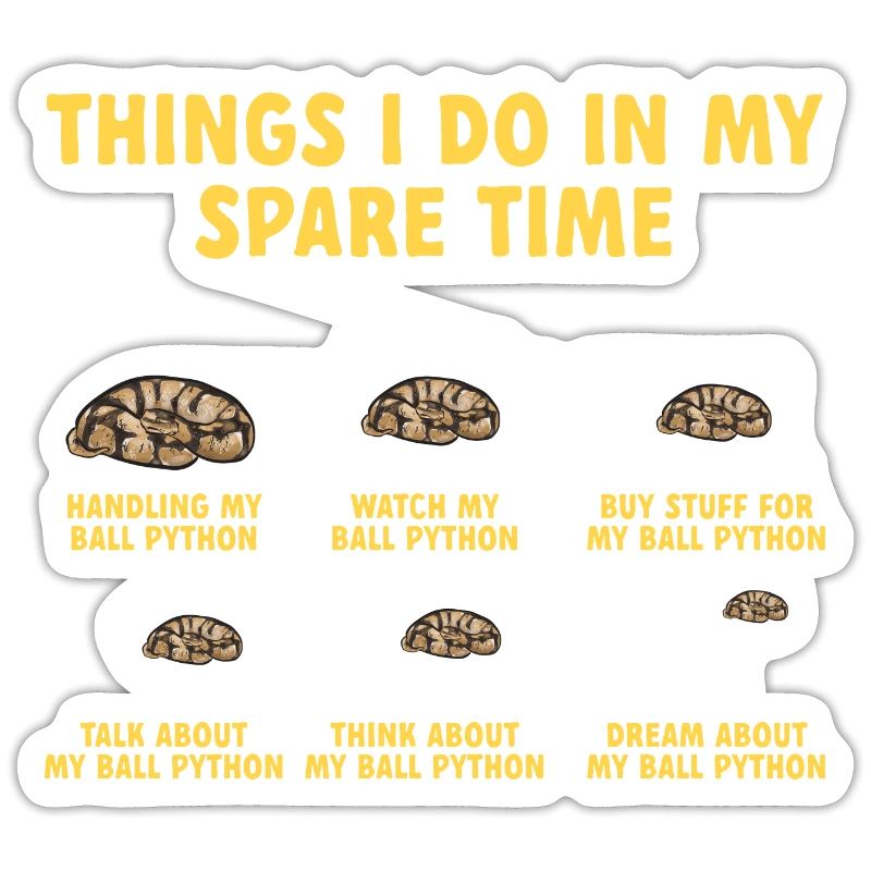 Ball Python Schlange Königspython