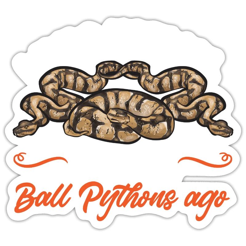 Ball Python Schlange Königspython