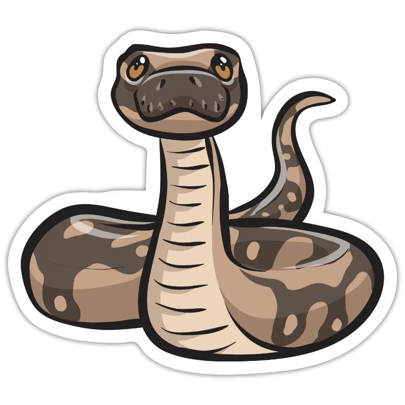 Ball Python Snake King Python