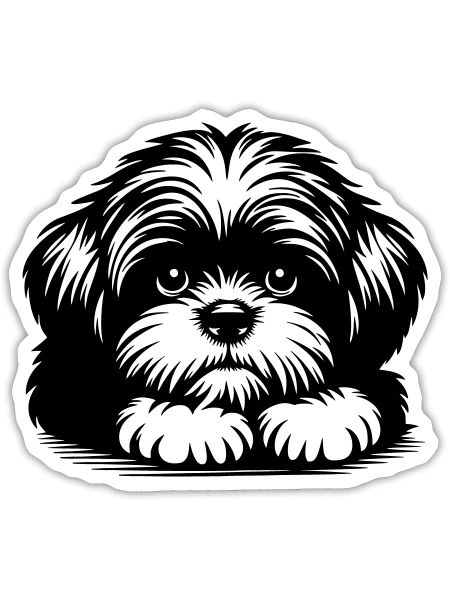 Tête de Shih Tzu avec pattes - Sticker taille S (10 x 10 cm) - blanc mat - Devant