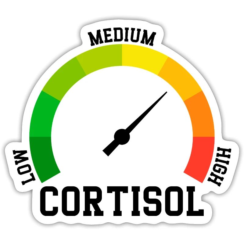 Low Cortisol Low Level Even