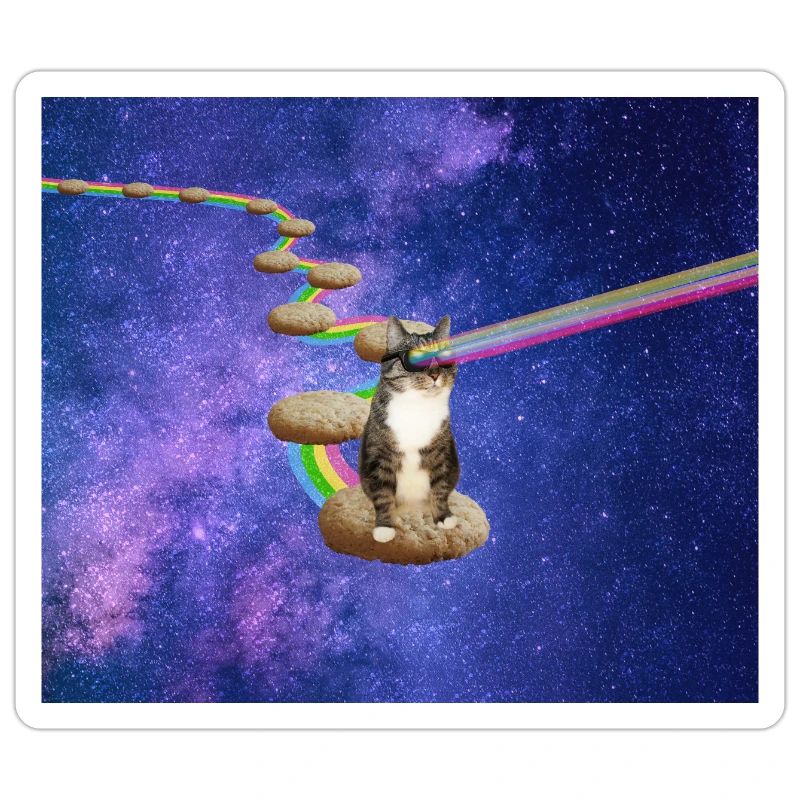 Cute tabby cat in outer space