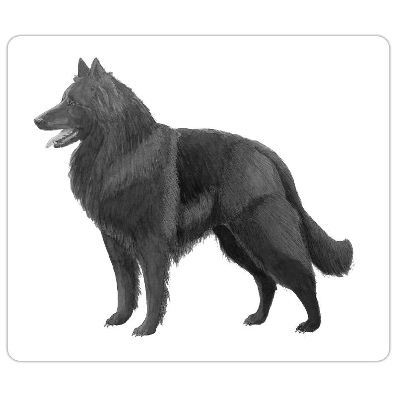 Bâtonnets Groenendael
