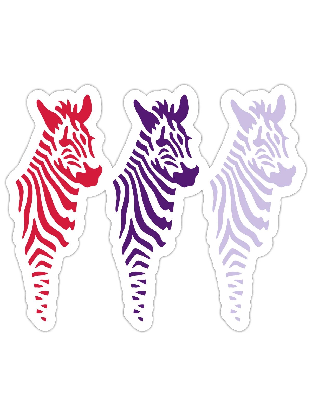 Three Zebras (b) - Sticker Größe S (10 x 10 cm) - Mattweiß - Vorne