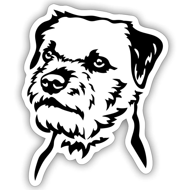 Border Terrier Head