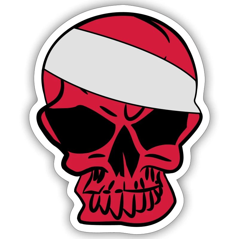 Anarcho Skull Anarchy anarchy