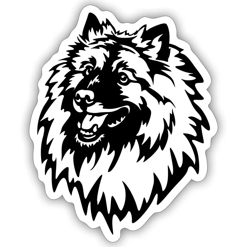 Wolfsspitz Head